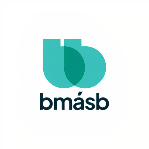 Our Client - Logo bmasb